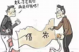 凉山为什么选择专业追讨公司来处理您的债务纠纷？